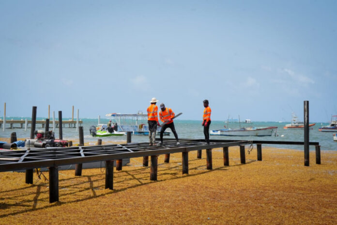 muelle