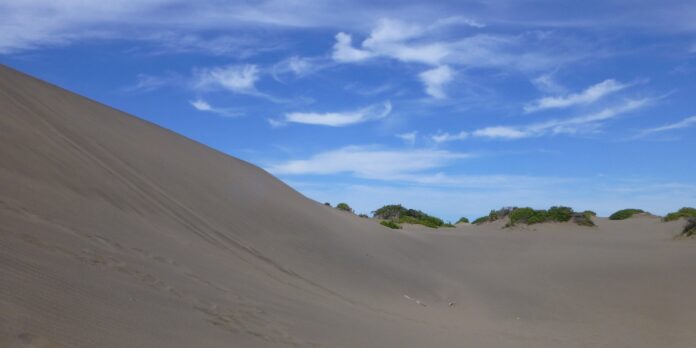 8_El-Pais_15_1-Grano-a-granop01