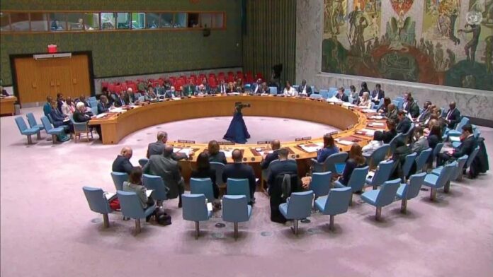 imagen-consejo-de-seguridad-de-la-onu-82404bf2-focus-0-0-896-504 (1)