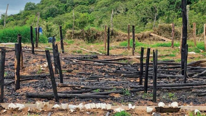 ocoajpg-09144c64-focus-0-0-896-504
