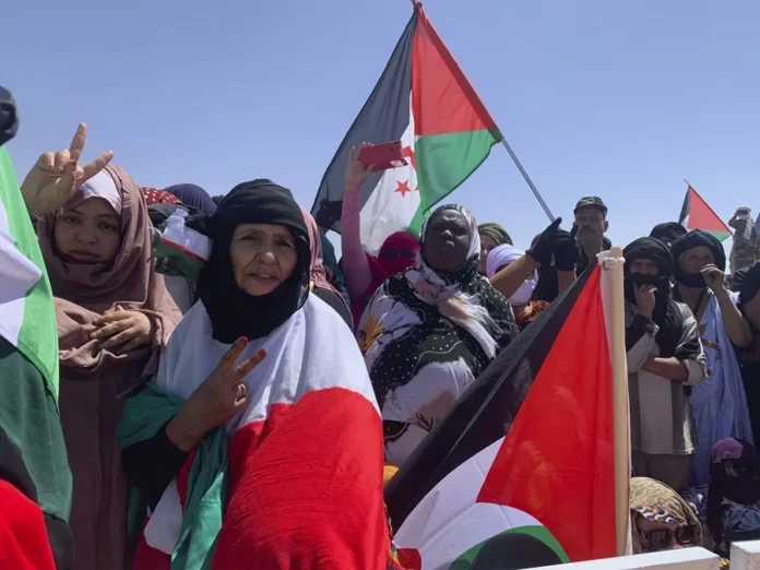 frente-polisario-condena-respaldo-colombia.-marruecos-sahara-occidental