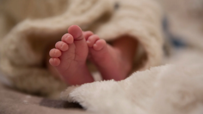 salud-publica-reporta-45-muertes-infantiles-en-su-ultimo-boletin-2824d71c-focus-0-0-896-504